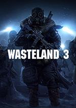 Wasteland 3 Box Art