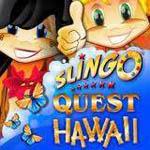 Slingo Quest Hawaii Box Art