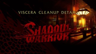 Viscera Cleanup Detail: Shadow Warrior Box Art