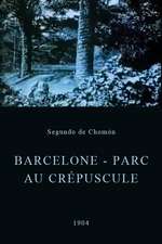 Barcelone - Parc au crépuscule Box Art