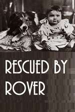 Rescued by Rover Box Art