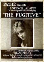 The Fugitive Box Art