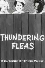 Thundering Fleas Box Art