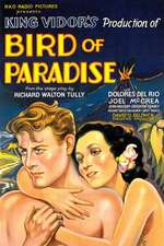 Bird of Paradise Box Art