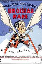 Un oiseau rare Box Art