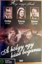 A hölgy egy kissé bogaras Box Art