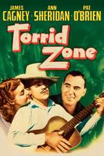 Torrid Zone Box Art