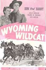 Wyoming Wildcat Box Art