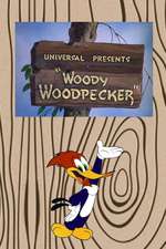 Woody Woodpecker Box Art