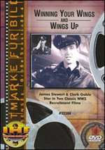 Winning Your Wings Box Art