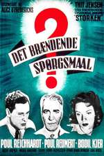 Det brændende spørgsmaal Box Art