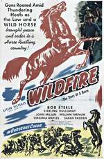 Wildfire Box Art