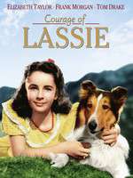 Courage of Lassie Box Art