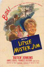 Little Mister Jim Box Art