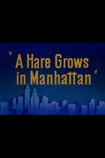 A Hare Grows in Manhattan Box Art