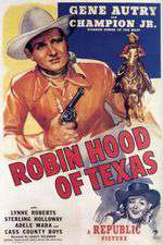 Robin Hood Of Texas Box Art