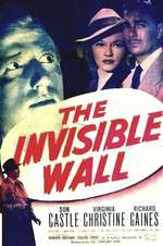 The Invisible Wall Box Art