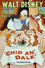 Chip an' Dale Box Art