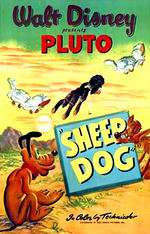 Sheep Dog Box Art