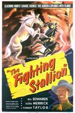 The Fighting Stallion Box Art