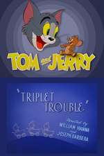 Triplet Trouble Box Art