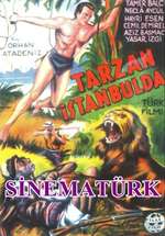 Tarzan Istanbulda Box Art