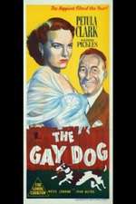 The Gay Dog Box Art