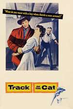 Track of the Cat Box Art