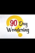 90 Day Wondering Box Art