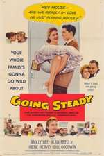 Going Steady Box Art