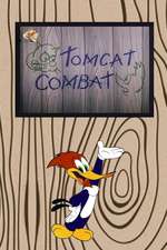 Tomcat Combat Box Art