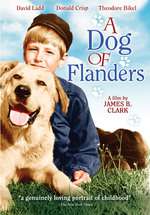 A Dog of Flanders Box Art