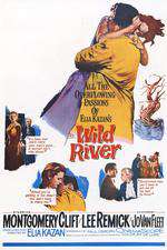 Wild River Box Art