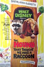 The Hound That Thought He Was a Raccoon Box Art