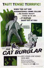 The Cat Burglar Box Art