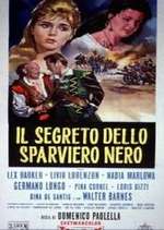 Il segreto dello sparviero nero Box Art