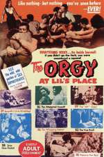 Orgy at Lil's Place Box Art