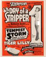 Day of a Stripper Box Art