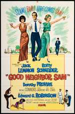 Good Neighbor Sam Box Art