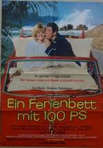 Ein Ferienbett mit 100 PS Box Art