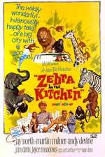 Zebra in the Kitchen Box Art