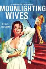 Moonlighting Wives Box Art