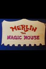 Merlin the Magic Mouse Box Art