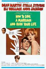 How to Save a Marriage and Ruin Your Life Box Art