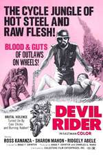 Devil Rider! Box Art