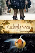 Cinderella Moon Box Art