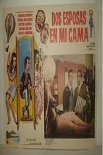 Dos esposas en mi cama Box Art