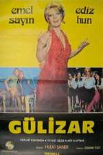 Gülizar Box Art