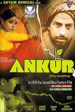 Ankur Box Art