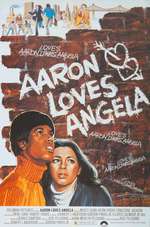 Aaron Loves Angela Box Art